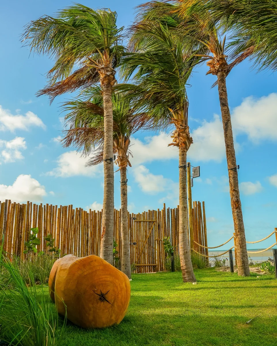 Jardim com coqueiros e cerca de bambu da Casa Praiamar